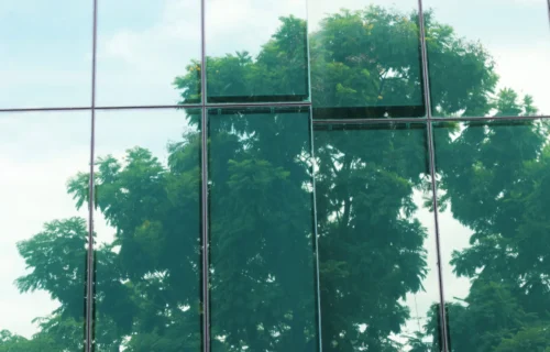 TNFD issues new sector guidance