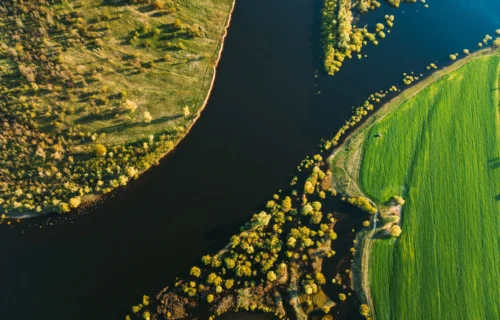 TNFD releases “Asking Better Questions on Nature” for board directors