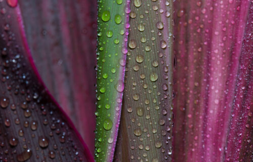 TNFD engagement deepens in China as Bank of China joins the Taskforce