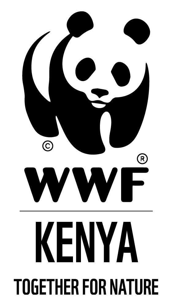 WhatsApp Image 2025-07-17 at 15.35